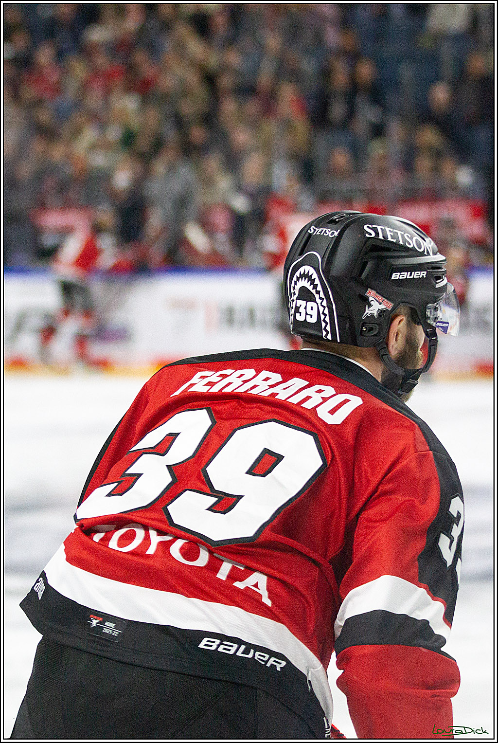 PENNY DEL;  Koelner Haie - Straubing Tigers; Koeln, 15.10.2021